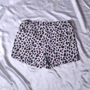 New Panty