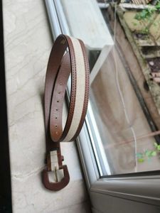 Ivory And Brown Belt
