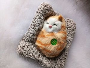 Sleeping Cat Toy