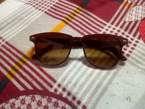 Brown Goggle