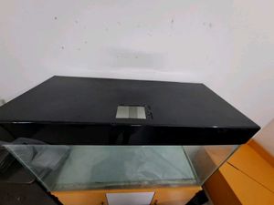 Glass Aquarium With Black Lid