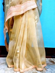 Elegant Saree