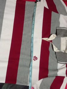 Combo Of Tshirt For Men