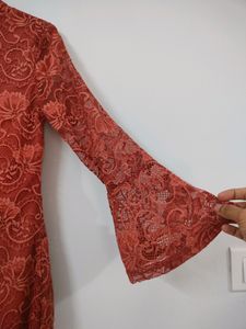 Netted Bodycon Dress