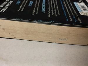 THE FADING BY CHRISTOPHER RANSOM