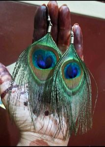 Combo Of 4 Peacock Earrings