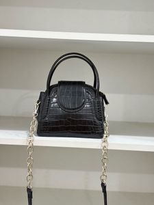 Zara Croc Embossed Bag