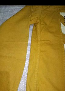 Yellow Xplorer Jacket