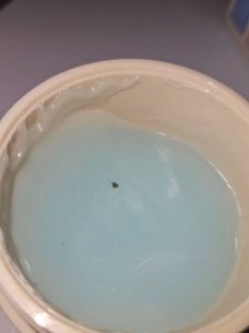 CITTA Aqua Boost Face Gel