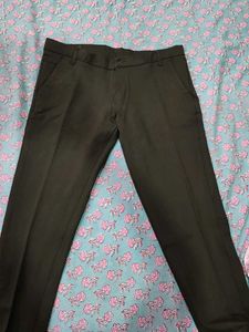 formal Pant