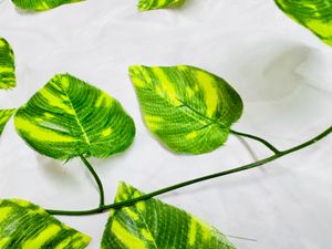 decorative green string with leave wings