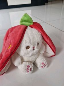 Strawberry Teddy