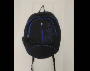 Skybags Backpack
