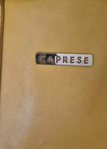 Caprese Handbag