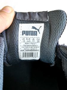 Puma Men Grey Astro Sala Sneaker