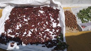 Homemade Shikakai Shampoo Powder