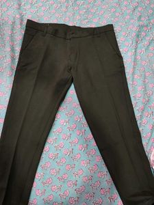 formal Pant