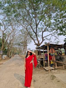 Saree And Blouse