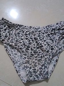 Animal Print Briefs