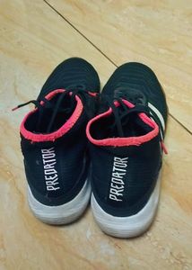 Adidas Original Shoe