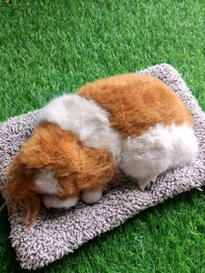 Slipping Puppies Soft Toys For Kids