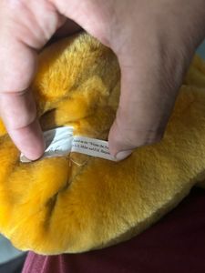 Winnie the Pooh Plush