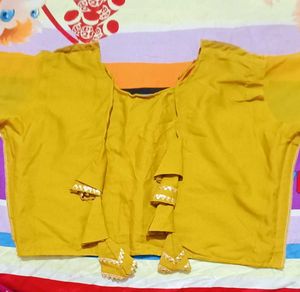 Beautiful Embroidery  Design Work Blouse