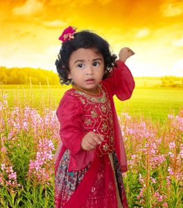 Elegant Lehenga Choli