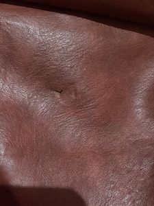 Stylish Brown Backpack Button Damaged