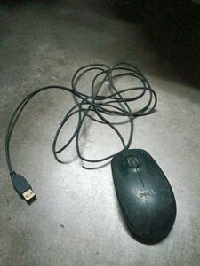 Mouse