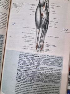 Cunningham&#39;s Manual Of Practical Anatomy! (3 Vol.)