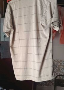Striped Polo Shirt