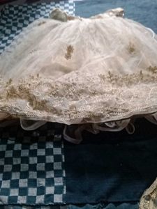 Elegant Ethnic Gown