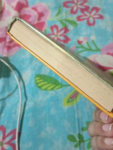 snicker the brownie and other stories