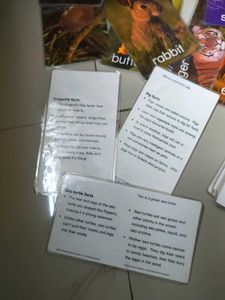 Einstein Cards From the US
