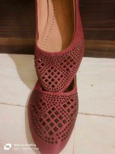 Elegant Maroon Bellies