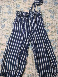 Fancy Blue Striped Trousers💙
