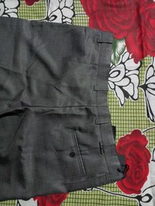 Gray Formal Pants New