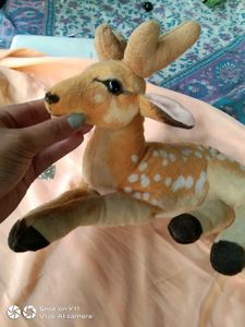 Toy