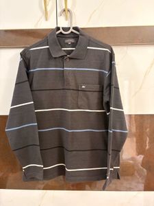 Striped Polo Shirt/ Sweatshirt