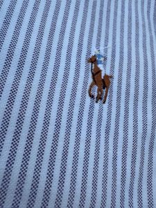 Ralph Lauren Striped Shirt
