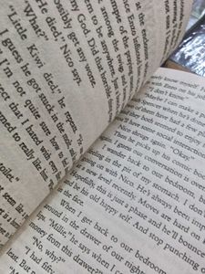 Freida McFadden Books Bundle10