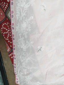 Pakistani Suit