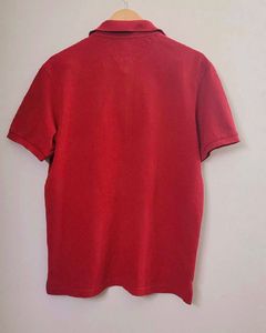 Red Polo Shirt Farhrenheit