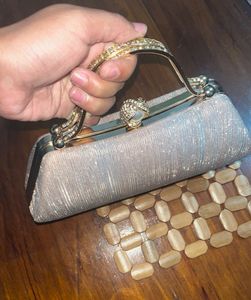 Elegant Evening Clutch