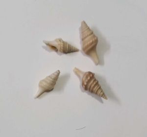 Cute Charm Collection