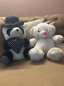 Adorable Plush Teddy Bear Duo