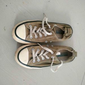 Canvas Shoes
