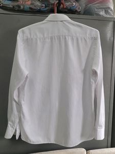 Harry Player Shirt for Men