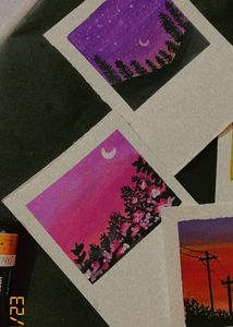 Polaroid Arcylic Paintings